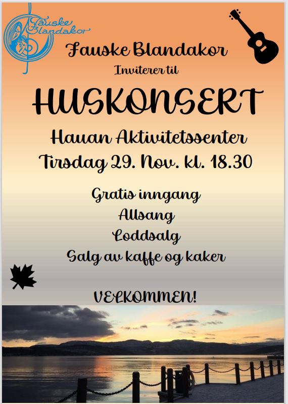 Read more about the article Kom på huskonsert 29. november!
